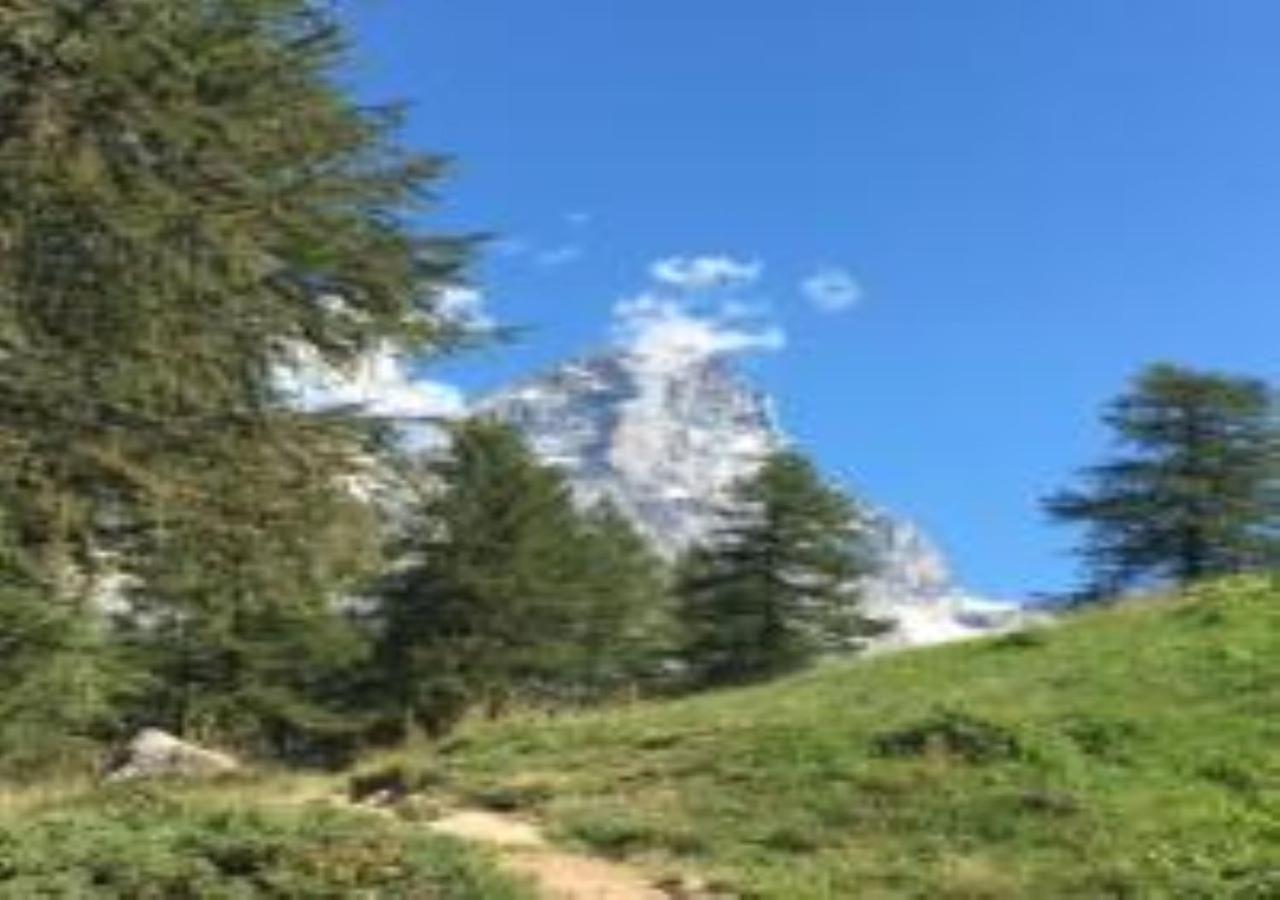 Casa Cervinia Shuss 2 Apartment Бройл-Червиня Екстериор снимка